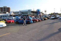 IMG_8224